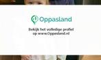 Daan zoekt een oppas in Haarlem voor 2 kinderen op maanda...