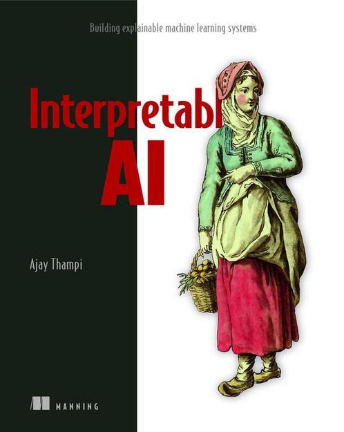9781617297649 Interperetable AI Ajay Thampi, Boeken, Schoolboeken, Nieuw, Verzenden