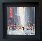 Michele Telari - Neve a New York