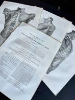 Lesmateriaal (3) - Nicolas-Henri Jacob & Jean Baptiste Marc, Antiek en Kunst