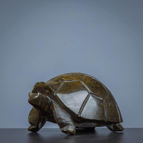 Stenen schildpad, Dieren en Toebehoren, Reptielen en Amfibieën | Toebehoren, Nieuw, Verzenden
