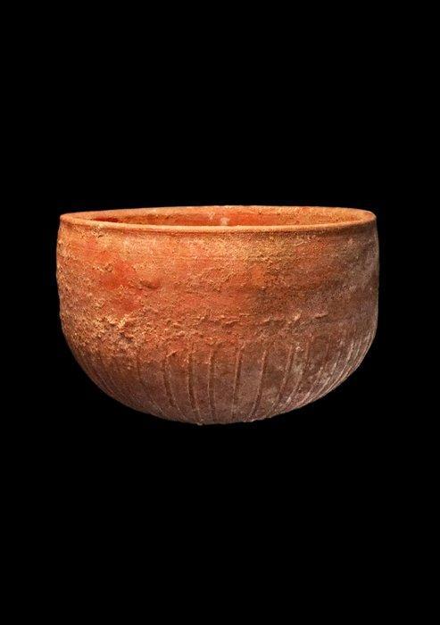 Oud Grieks Hellénistische coupe met stralend gestempeld, Verzamelen, Mineralen en Fossielen