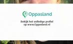 Ik ben Dominique, 25 jaar oud en ik zoek oppaswerk in Wad..., Diensten en Vakmensen, Dieren | Paarden | Verzorging, Oppas en Les
