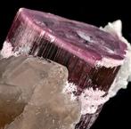 Belangrijke natuurlijke, beëindigde polychrome roze, Verzamelen, Mineralen en Fossielen