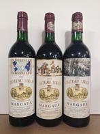 1992 , 1993 & 1994 Château Siran - Margaux - 3 Flessen (0.75, Verzamelen, Wijnen, Nieuw