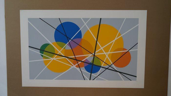 Luigi Veronesi (1908-1998) - Costruzione grigia XXL, Antiek en Kunst, Antiek | Overige Antiek