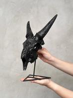 GEEN MINIMUMPRIJS - Uitgehouwen zwarte geiten schedel met