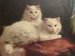 Boleradszky Beno (1885-1957) - Fluffy Cats Sitting by the