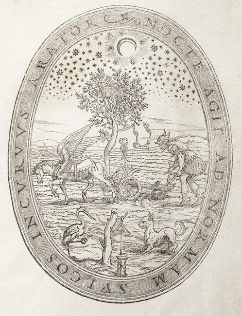 Alunno - Lingua Volgare ...del Boccaccio - 1557, Antiek en Kunst, Antiek | Boeken en Bijbels