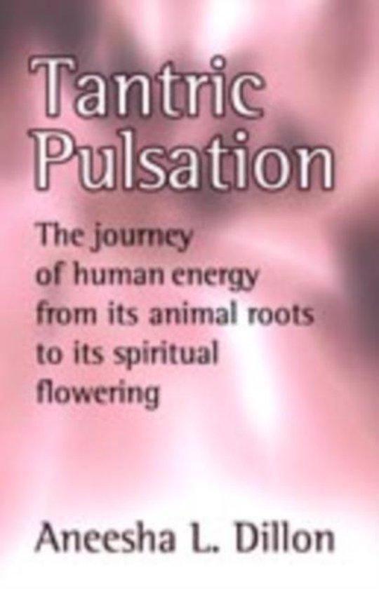 Tantric Pulsation 9781905399017 Aneesha, Boeken, Taal | Engels, Zo goed als nieuw, Verzenden