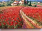 Domenico Ronca (1964) - The poppies country road - Tuscany