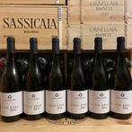 2024 Cottanera, Etna Bianco - Sicilië DOC - 6 Flessen (0.75, Verzamelen, Nieuw