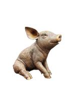 Beeld, Large Bronze Lifelike Pig - Amazing details - 29 cm -