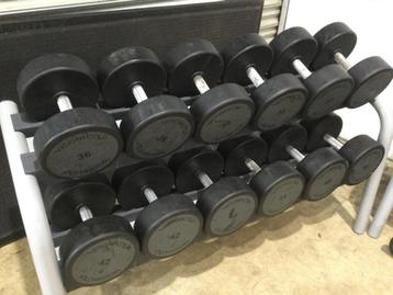 Technogym 12-50kg Urethane Dumbbell Set + 2 racks free beschikbaar voor biedingen