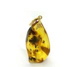 Baltisch amber - fossiel insect-hanger - Barnsteen (Zonder