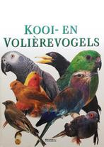Kooi en Voliérevogels 9789062489305 Jeannine Lancret, Boeken, Gelezen, Jeannine Lancret, Verzenden