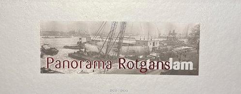 Panorama Rotgans, Boeken, Overige Boeken, Ophalen of Verzenden