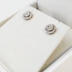 Zonder Minimumprijs - Oorbellen - 14 karaat Witgoud -, Sieraden, Tassen en Uiterlijk, Oorbellen, Nieuw