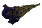 Statice sinuata natural Blue in hoes Lamsoor blauw +/- 70cm, Ophalen of Verzenden, Nieuw