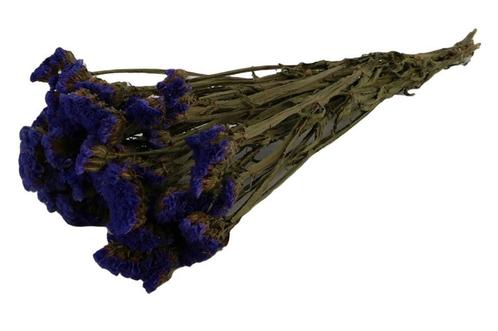Statice sinuata natural Blue in hoes Lamsoor blauw +/- 70cm, Hobby en Vrije tijd, Knutselen, Nieuw, Ophalen of Verzenden