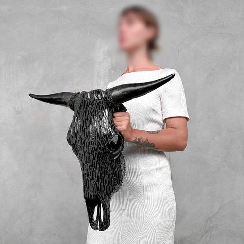 GEEN MINIMUMVERKOOPPRIJS - Grote authentieke stierenschedel, Antiek en Kunst, Kunst | Designobjecten