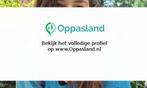 Eva zoekt een oppas in Apeldoorn voor 2 kinderen., Vacatures