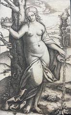 Marcantonio Raimondi (c.1480-1527/34) - Giovane donna nuda