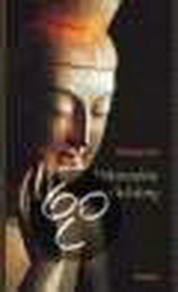 Volmaakte verlichting 9789056700270 Sheng-yen, Boeken, Filosofie, Gelezen, Verzenden