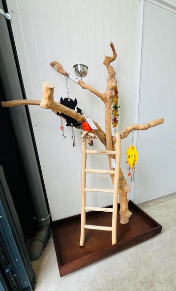 Javabomen beschikbaar voor biedingen