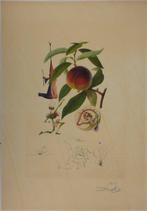 Salvador Dali (1904-1989) - Flordali, Pécheur Pénitent