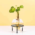 Flora stekjesvaas, Huis en Inrichting, Woonaccessoires | Vazen, Verzenden, Nieuw