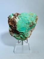 Mintgroene chrysoprase met moederrots – Tanzania Display
