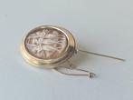 Broche - 14 karaat Geel goud, Kamee (schelp)
