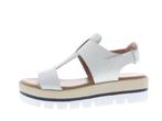 -50% Roberto dAngelo  Roberto dAngelo Amsterdam w  maat 40, Kleding | Dames, Verzenden, Nieuw, Wit