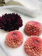 Silicagel prepareerzout 3-5 mm voor het drogen van bloemen, Ophalen of Verzenden, Nieuw