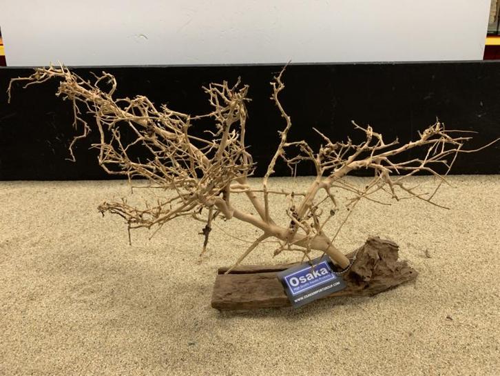 Osaka Bonsai Tree nr 1 - 59x20x34cm - aquascaping boom, Dieren en Toebehoren, Vissen | Aquaria en Toebehoren, Plant(en), Steen of Hout