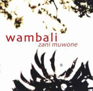 cd - Wambali Mkandawire - Zani Muwone, Cd's en Dvd's, Cd's | Overige Cd's, Zo goed als nieuw, Verzenden