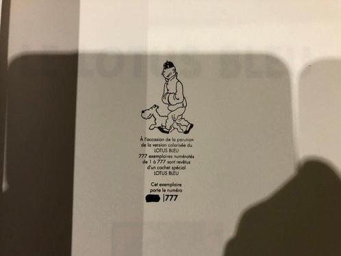 Tintin - The Blue Lotus - Version recolorisée - Version, Boeken, Stripboeken