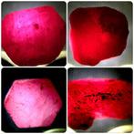 Cts. 40.80 Ruwe natuurlijke robijn Exemplaar- 8.16 g - (4), Verzamelen