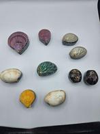Sieradendoos (10) - Schelp, Fluweel, Antiek en Kunst