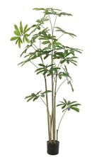 Philodendron kunstplant 180 cm (Kunstplanten, Kunstboom), Verzenden, Nieuw