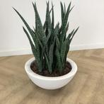kunst Sanseveria met Elho kunststof plantenbak hoogte 90 cm,, Ophalen of Verzenden