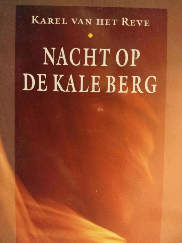 Nacht op de kale berg / Salamander / 716 9789021497167 Reve, Boeken, Romans, Gelezen, Verzenden
