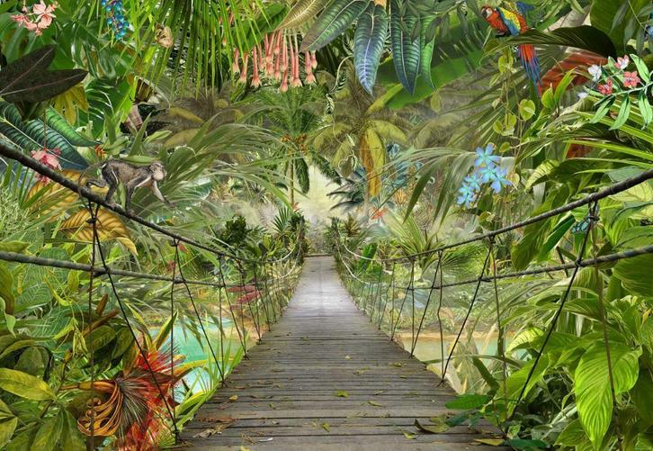Jungle fotobehang Wild Bridge, Brug Jungle, Muurdeco4kids, Huis en Inrichting, Stoffering | Behang, minder dan 10 m², Ophalen of Verzenden