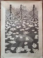 MC Escher 1898-1972 - Drie werelden