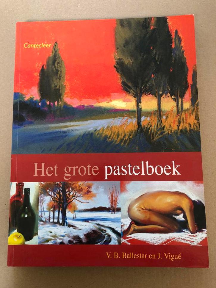 Handboek Pasteltekenen - Materialen - Technieken - Projecten, Boeken, Hobby en Vrije tijd, Zo goed als nieuw, Tekenen en Schilderen