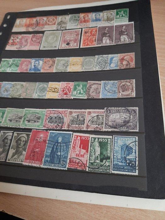 België 1851/1958 - collectie op vellen - Michel, Postzegels en Munten, Postzegels | Europa | België