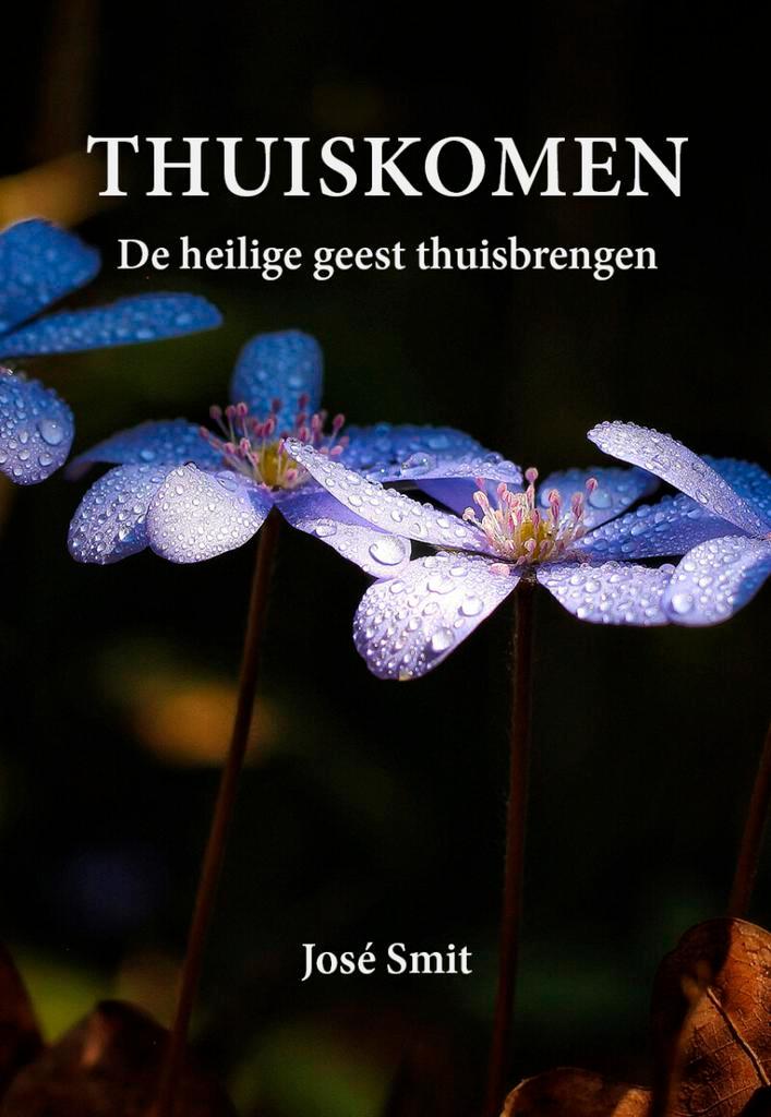 Thuiskomen 9789463285599 José Smit, Boeken, Hobby en Vrije tijd, Gelezen, Verzenden