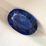 Zonder Minimumprijs - 1 pcs Blauw Kyaniet - 3.69 ct -, Nieuw
