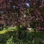 Woning te huur in Beek - 1 m² - 1 kamer(s), Overige soorten, Beek, Limburg